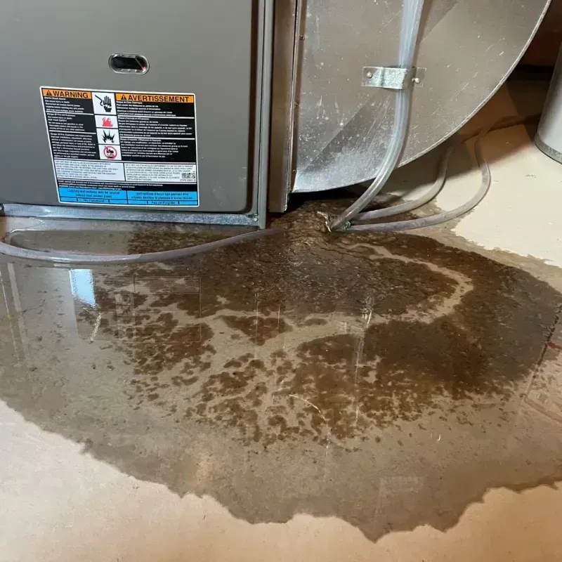 Appliance Leak Cleanup in Clanton, AL